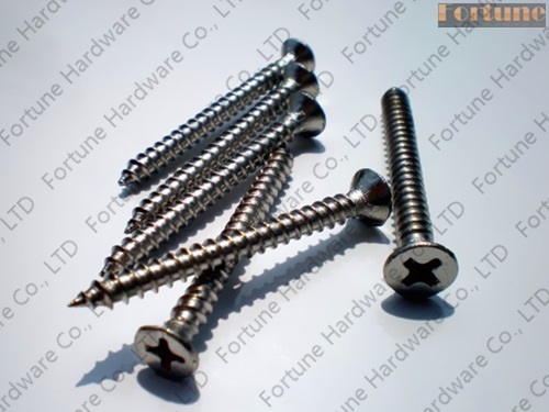 Stainless Steel Flat Head Self Tapping Screw