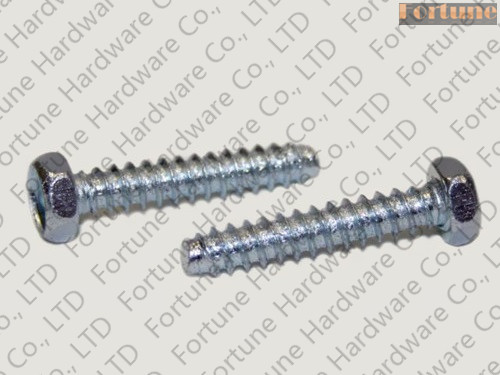 Stainless Steel Hex Self Tapping Screw