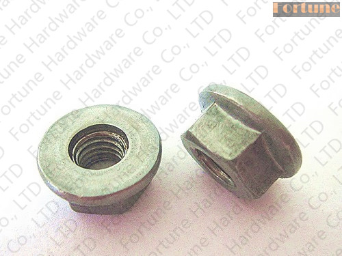Stainless Steel Hexagon Flange Nuts