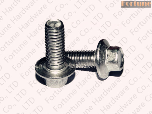 Stainless Steel Hex Flange Head Bolt