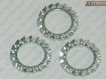 Stainless Steel Serrated Lock Washers